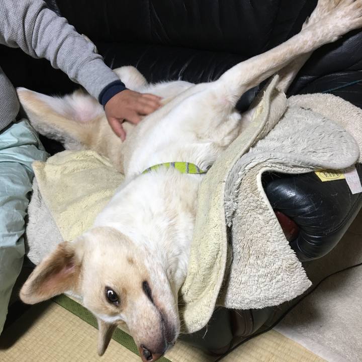 C25eaa58 f133 434c 8ace eba86446912b