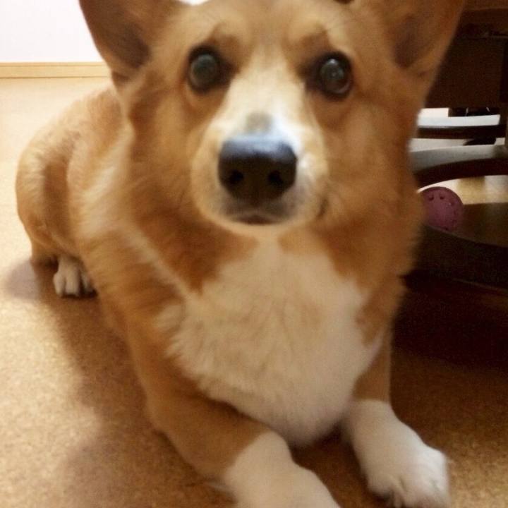 C25efff4 4573 4427 9b62 e54cefe7630b