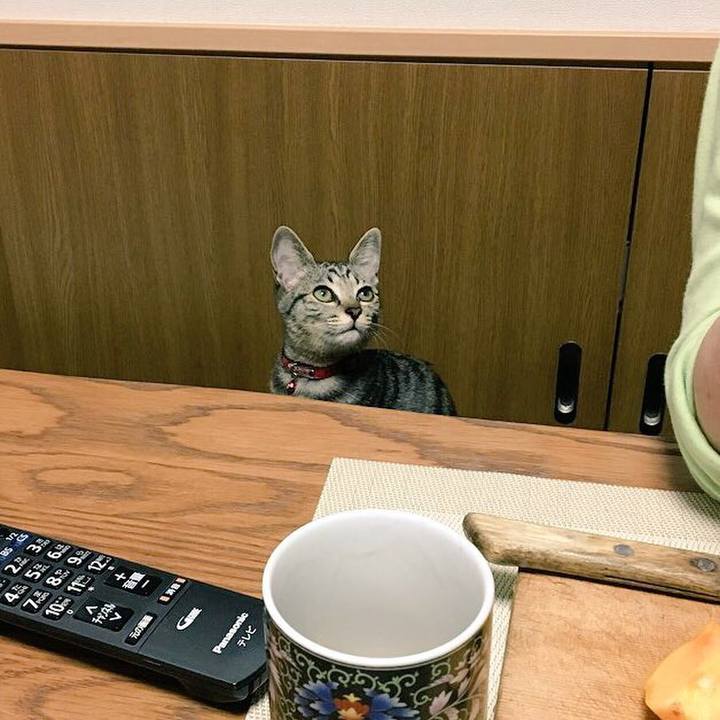 C25fa5d8 63c4 4904 8975 23165fc77e22