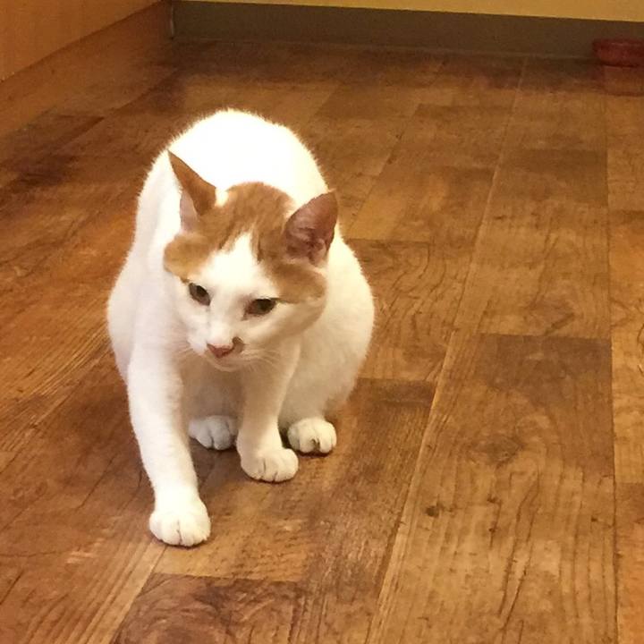 C260954d b22e 4c83 8132 65ce768b0cce