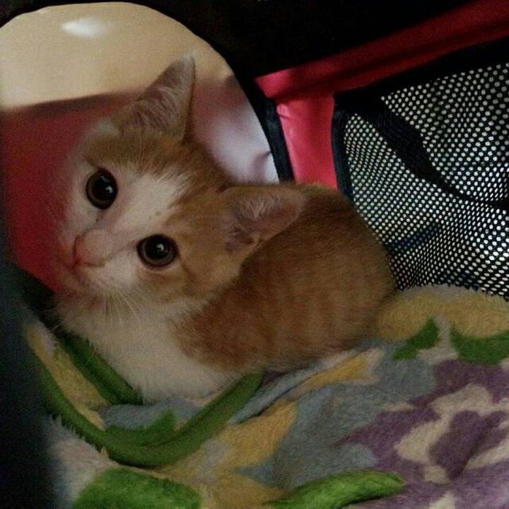 C2614bcc c430 4d59 8f61 dd9098dd4712