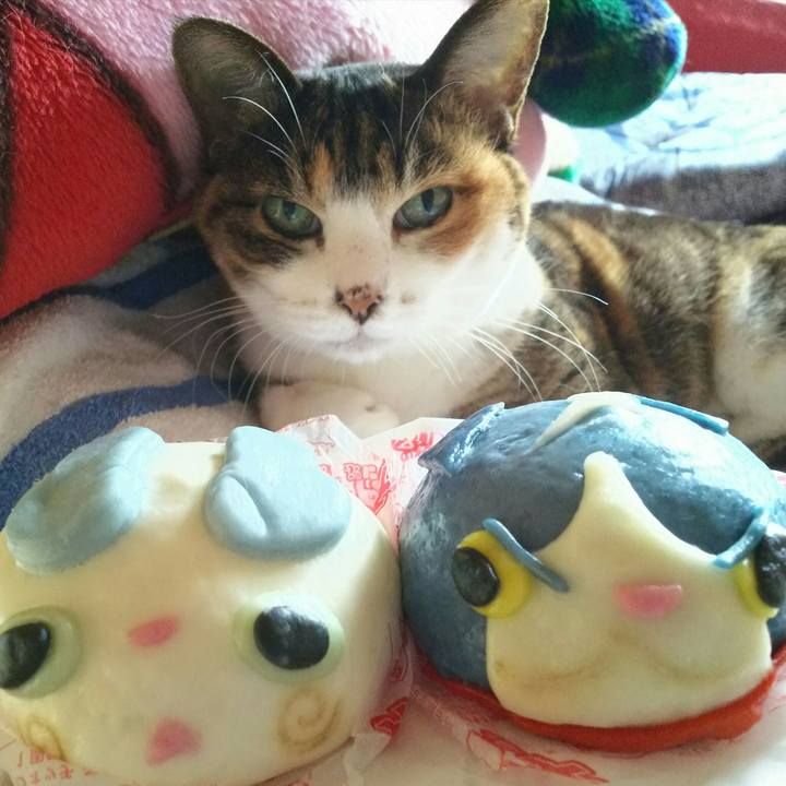 C26153ac ebee 4015 ad81 0f81323b80d7