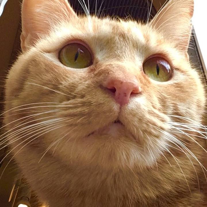 C26168f5 1eed 425d 8324 d7561a273982