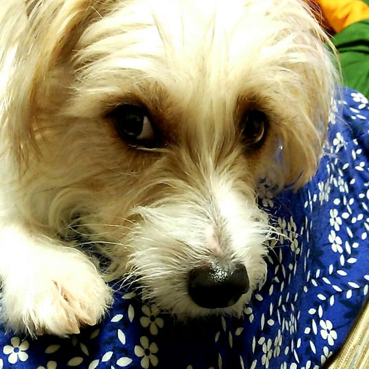 C2616bdc 05aa 4dda baf6 736cf158f158