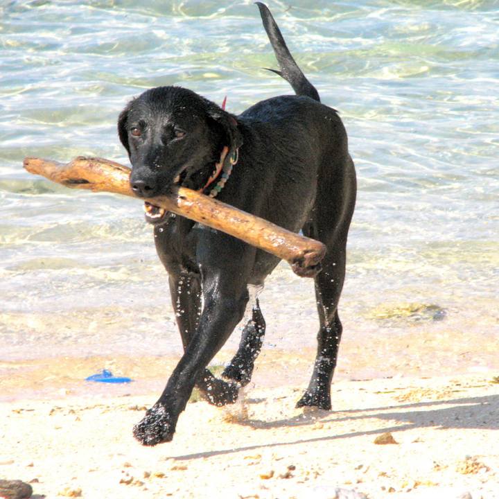 C2621029 6f90 4677 b0d7 2fdd6afa0857