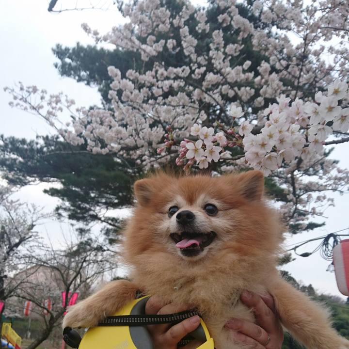 C2631f61 194e 44df bef5 243e0bbe8085