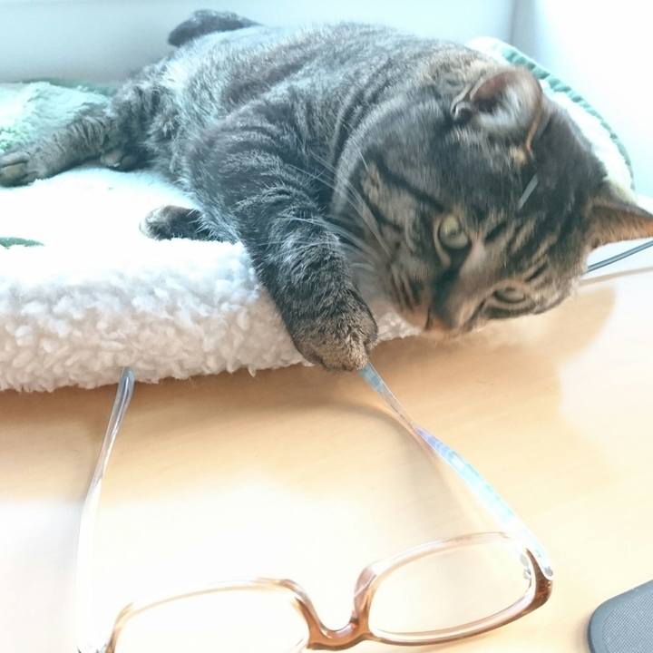 C263824c 8e18 4c1c 9869 bb701c543486