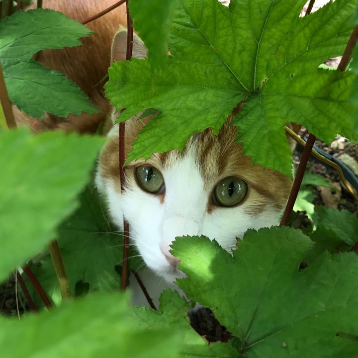 C263a8ce f5d7 4e17 9d91 e25fb0761a17