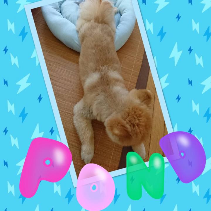 C263bbb9 f79e 4958 9ee6 e25de6907a94