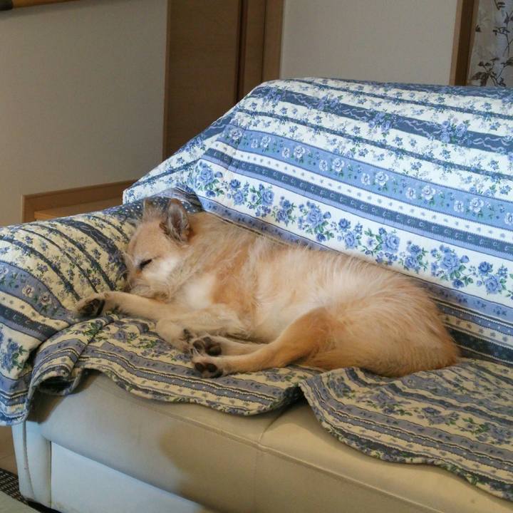 C263c8ca ad05 4259 a213 bdb6137bd8a5