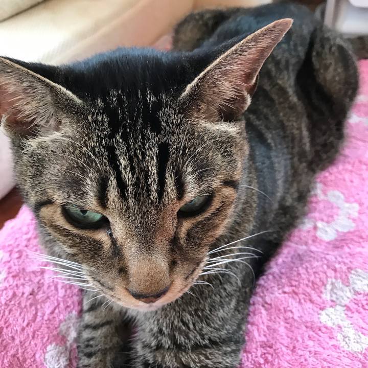 C2644415 8361 4276 8343 31fd42255bf8