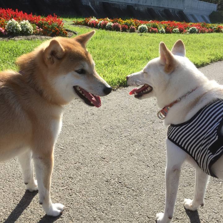 C26607fd ea1e 4619 8ac5 7f9ef5ea52e9