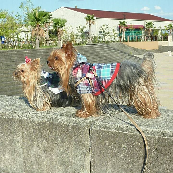 C2661a42 2d39 427f 8ef3 3c169abd81c4