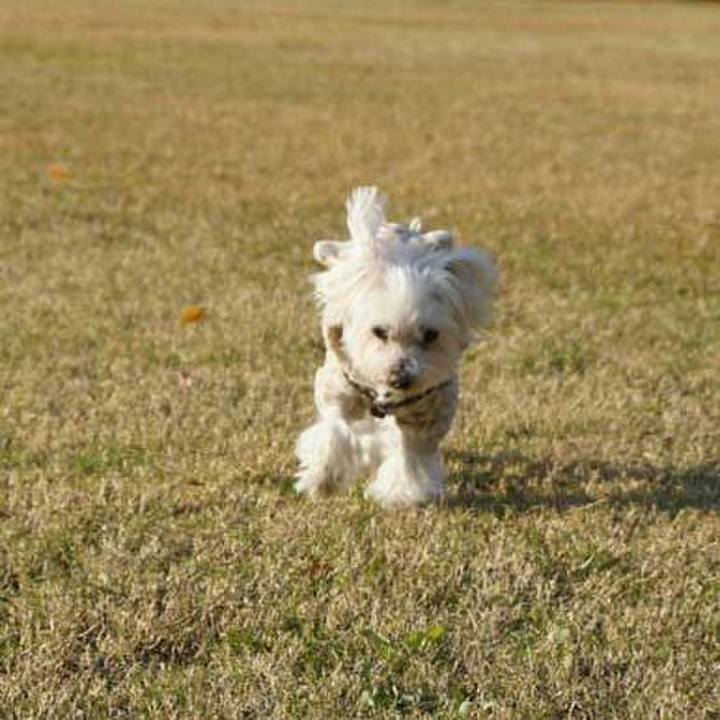 C2664715 cc58 4d48 8ba9 793f9f9eb06c