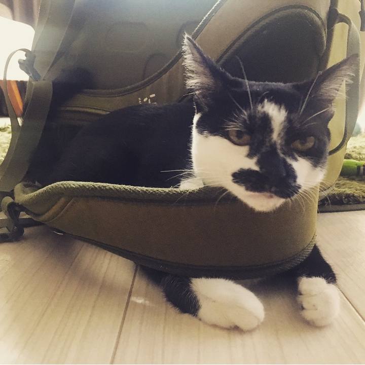 C2667183 04d3 462b 8e5c 0bf243bf16d3