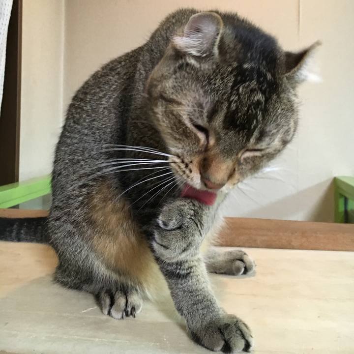 C26698e2 2c76 4af5 93ab f0c8a30e4747