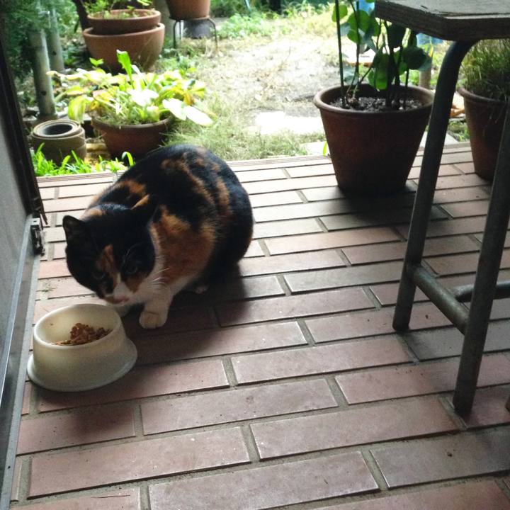 C266bc35 7b0b 47e7 969b 541c17ff52fd