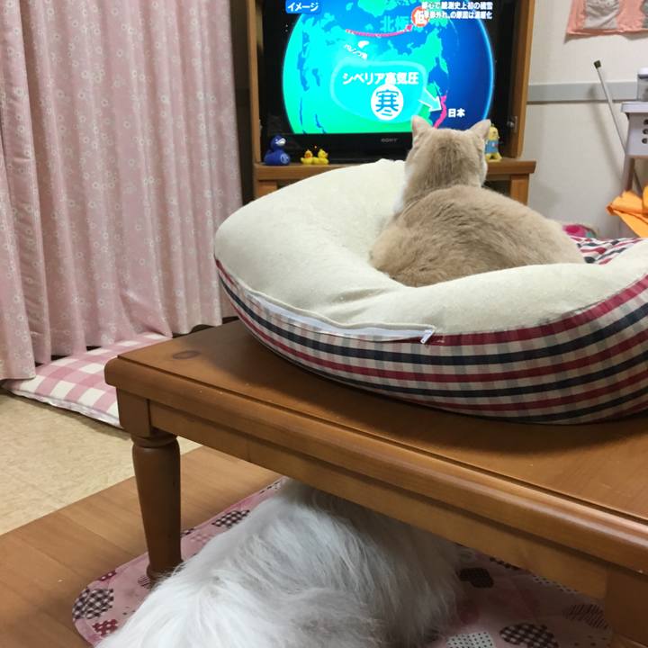 C2672f2f f974 4f74 8240 efd797773ac9