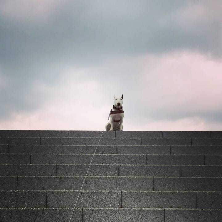 C267c15f f7e0 47c4 a104 06fba4da6728