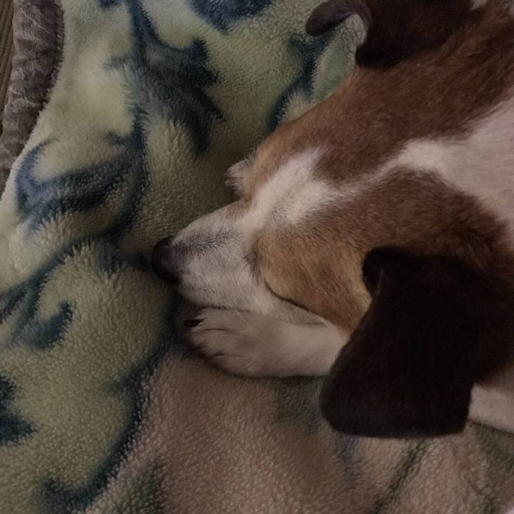 C2683ad6 f1f1 42c7 bec1 298ac6c1b1ef