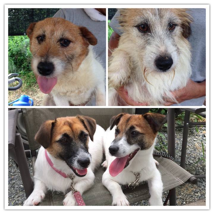 C268858e 08db 4aa8 bbd7 56a9db0934bc