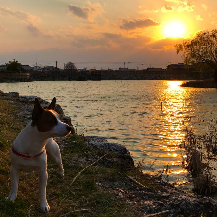 C268c0b9 b86c 4b00 b885 9b04008f1c6f