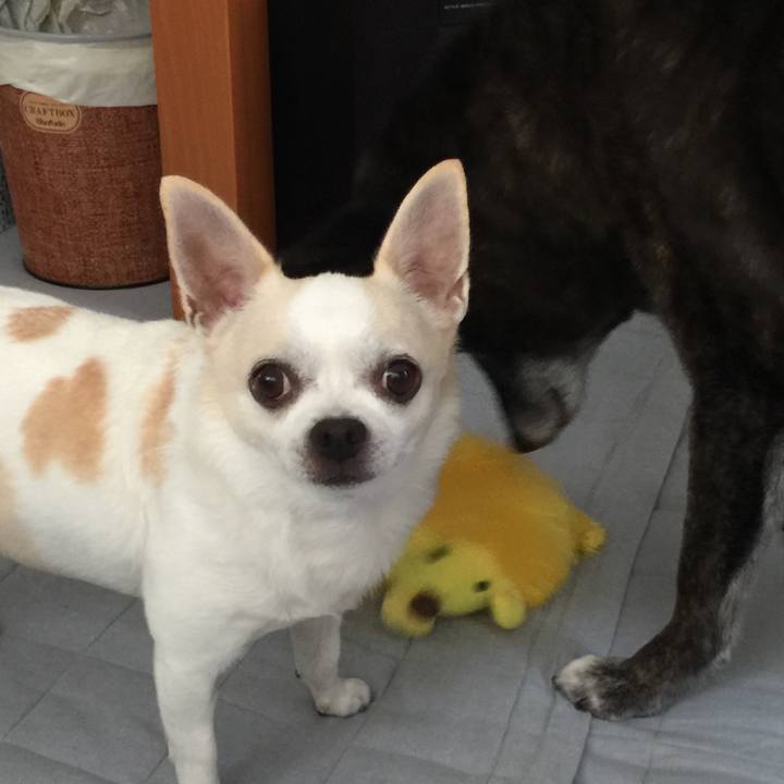 C2697fb4 e905 416e 9c1f 17610552f0d3