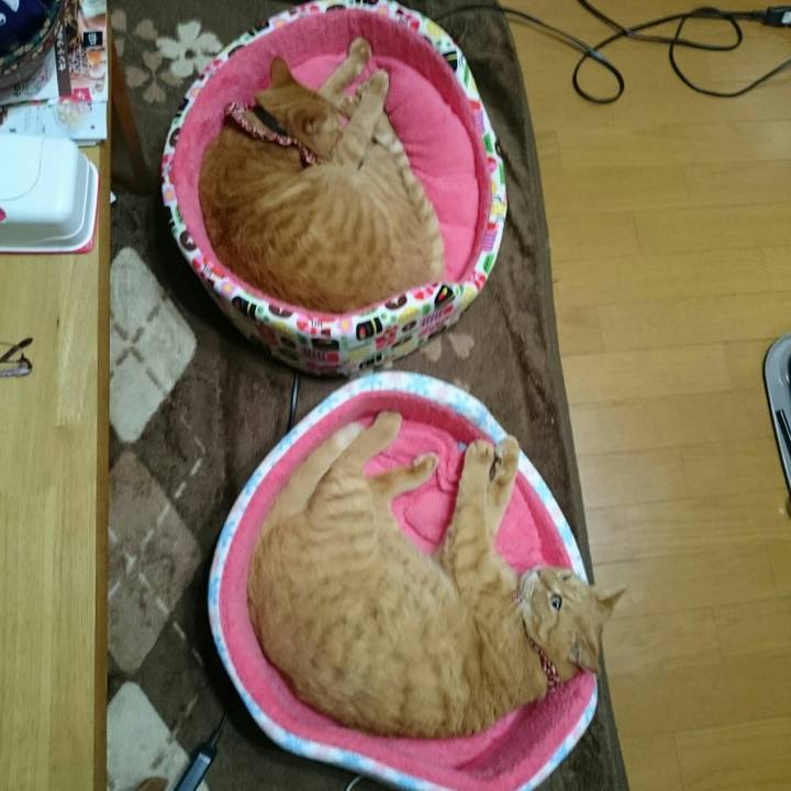 C269ba9b ed7e 418c 839b 4ebb066383f9