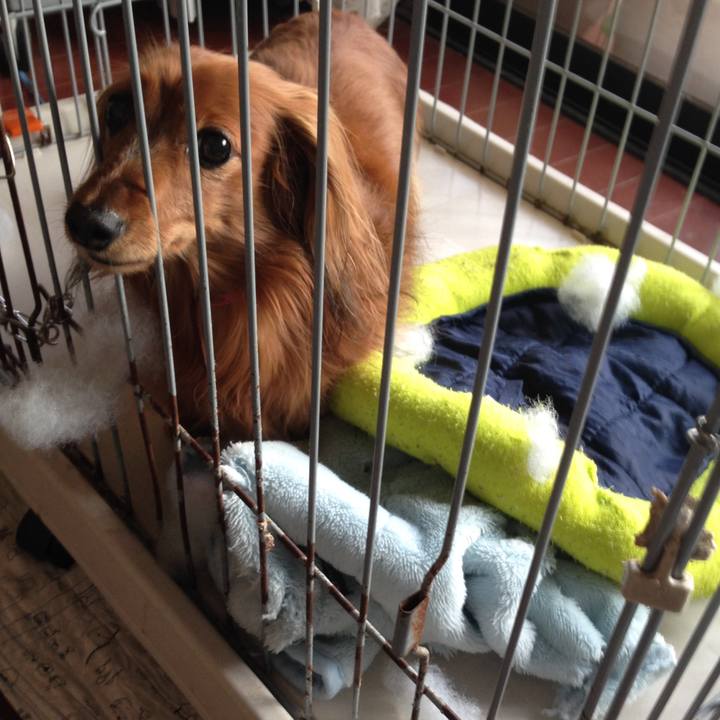 C269bd9c 6c4f 4a35 93a9 2aae5c14528b