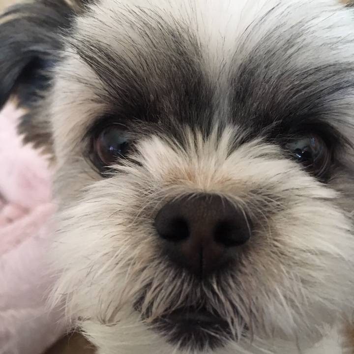 C269f505 cd1e 413f 89b0 761e331d00b1