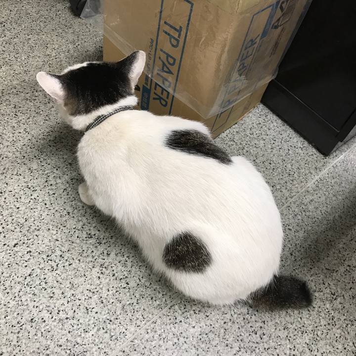 C26a0425 1ec3 4497 9f29 ec6716a5c363