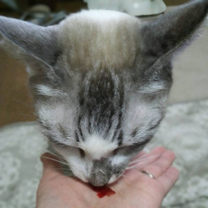 C26a56e9 1c17 4108 87c0 8d1ac1e2f91a