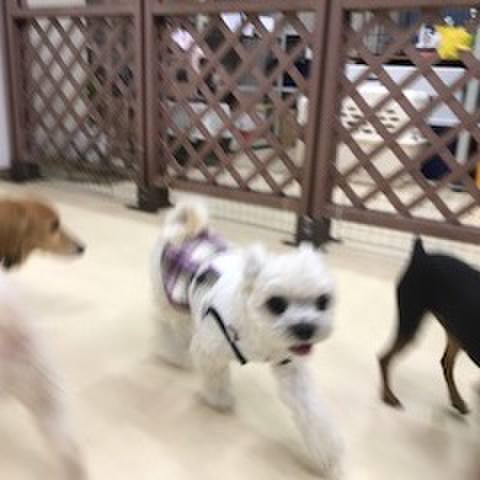 C26a8fc1 bdfa 4949 b722 0ab7f43103bf