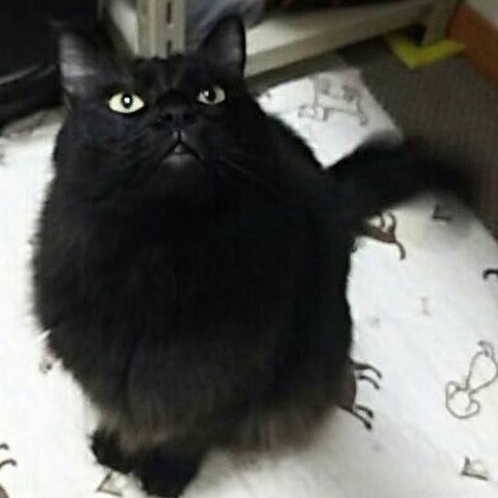 C26a9f11 4fa5 4cfb a1d2 8125f493f759