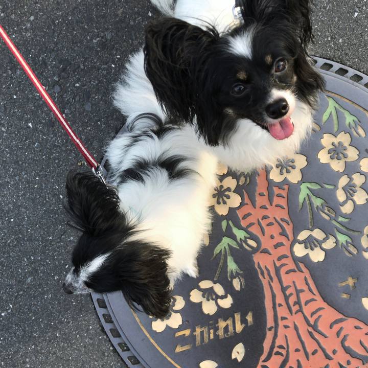 C26ac1b9 71b1 4f2a 9209 4ea4b31a2146