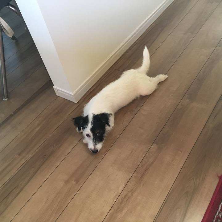 C26b0946 96d3 448f a679 7ea0dbcd67b1