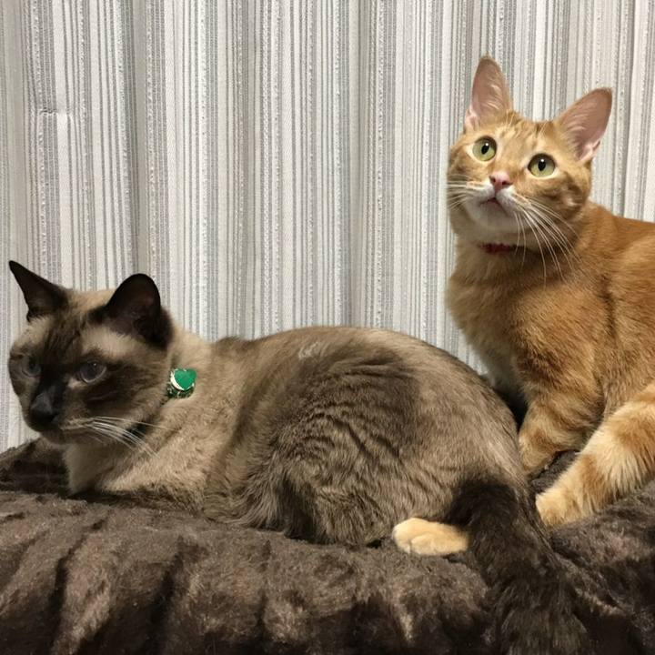 C26b0a6f 953c 4973 b5f3 16700cbf1b1d