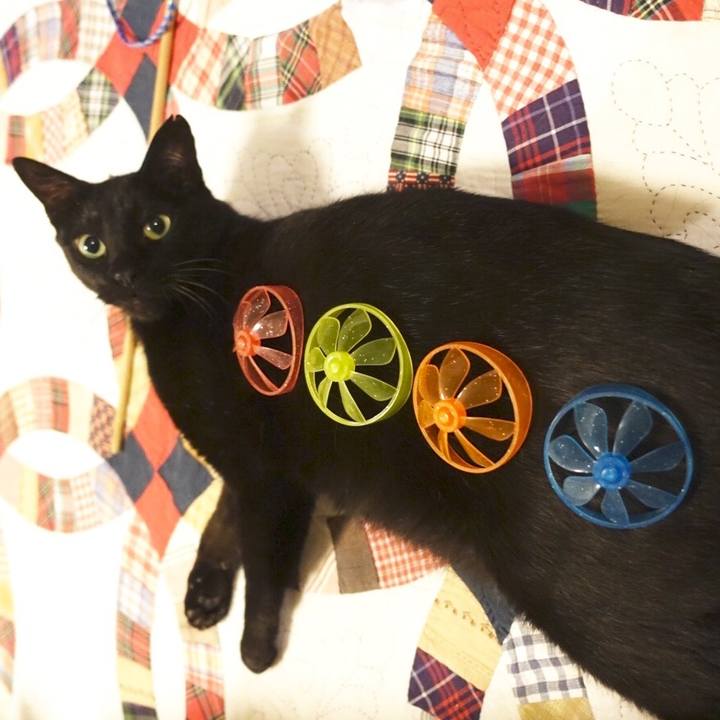 C26b8352 d491 44b4 b13e 95cf2f788ed5