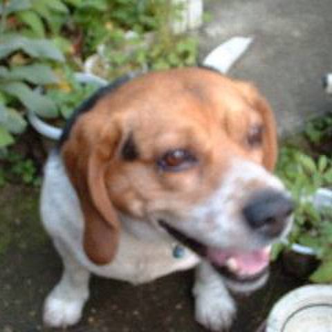 C26bed51 6c13 4096 b165 d7fa0554c4e0