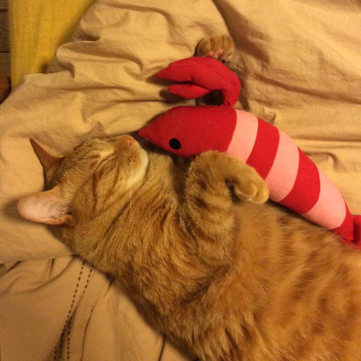 C26c3186 971a 45f3 a6ab 2e92a620e15d