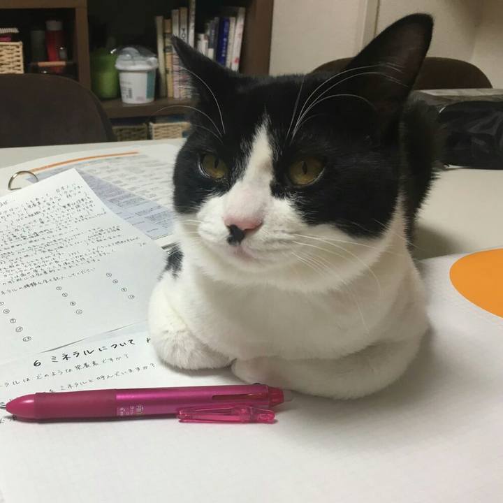 C26c9594 a7fd 4de6 aef3 9711630b2411