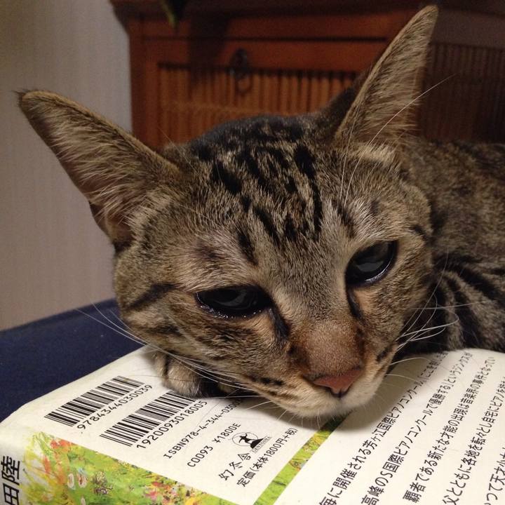 C26c9826 3c4c 4e63 a04f be1fa380e3e5