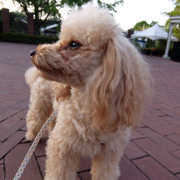 C26ca7ee 5726 4d97 a9e9 e7eb6e4f4fb6