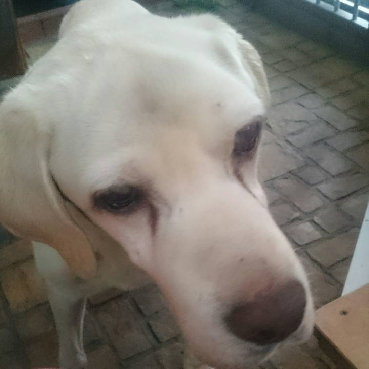 C26ce063 bd1c 44bb 89b9 1d9ced4d942d