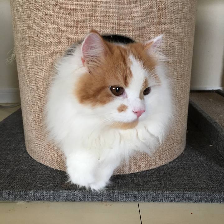 C26d272a 84b6 4fee 86eb 41dd4dc326ab