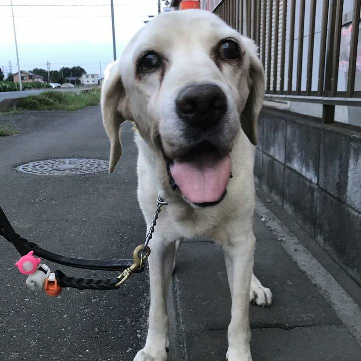 C26dfa16 569b 4ddd 8ff7 f0c97ed3246c