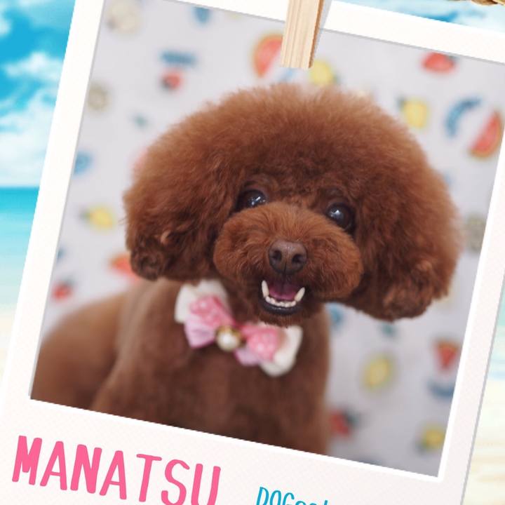 C26e25d6 50ba 4ce8 a6a7 a31f4994272b