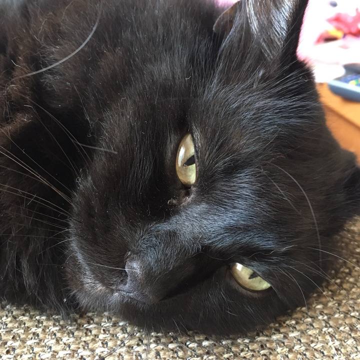 C26e35b6 0bea 4810 9a9f ba1023e4d29e