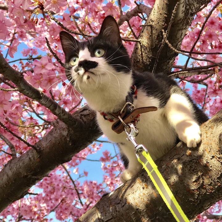 C26e6a94 442e 48fa a17e 36b4d3eb744f