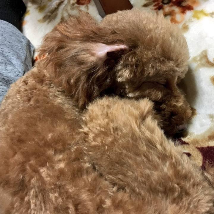 C26ecc5d a2e7 46e9 9ec5 5e67ce343141